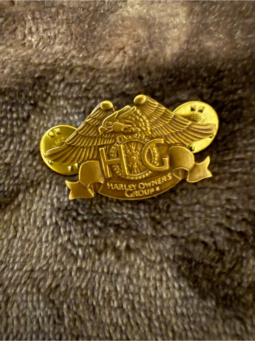 HOG Harley-Davidson Gold Double-Clutch Pin